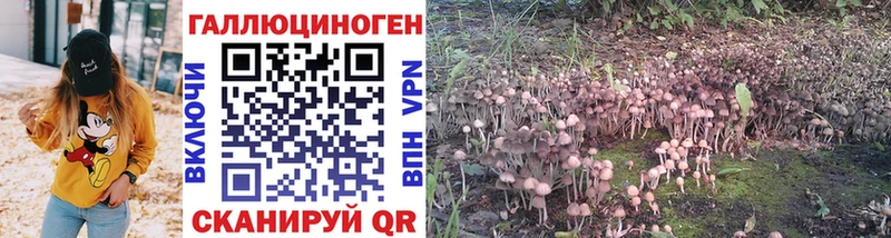 Псилоцибиновые грибы Psilocybe  Купить закладки  Семилуки 